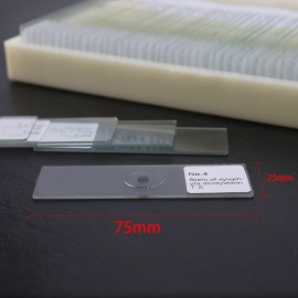 50PCS/Set Biological Glass Sample Prepared Basic Animal Plants Insects Tissues Science Specimen Cover Slips Portable Educational Microscope Slides