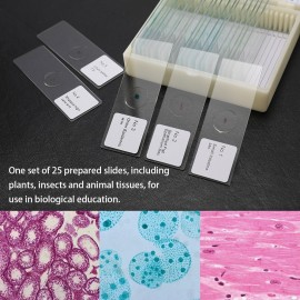 50PCS/Set Biological Glass Sample Prepared Basic Animal Plants Insects Tissues Science Specimen Cover Slips Portable Educational Microscope Slides